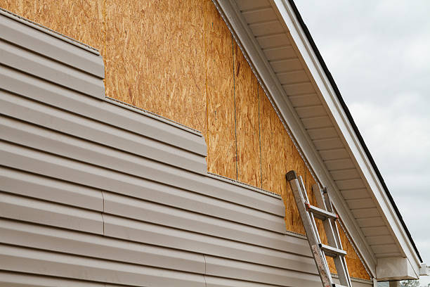 Professional Wood Siding technician working in Bellwood, PA